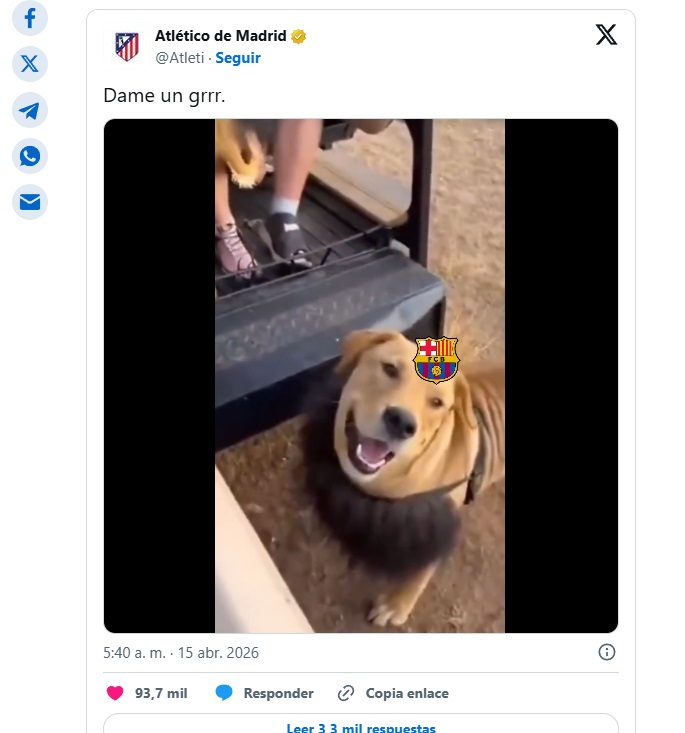 Meme singa jadi anjing